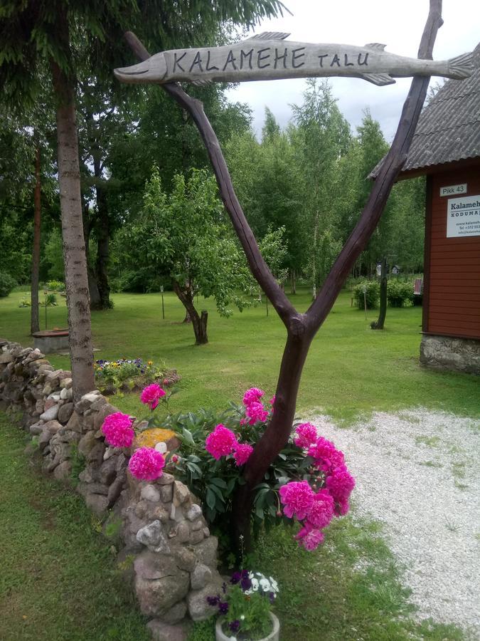 Kalamehe Farmstay Alatskivi Buitenkant foto